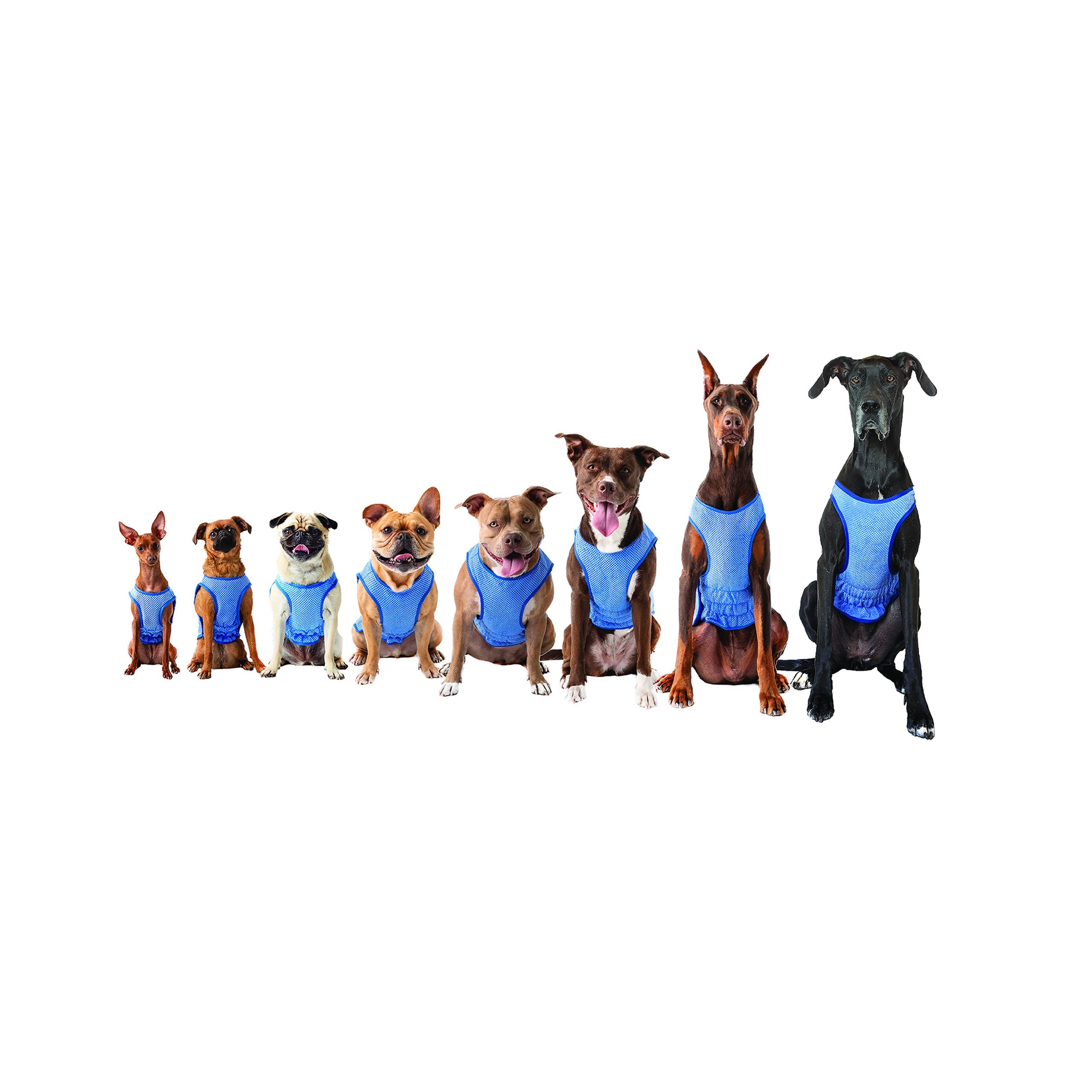 Paw Inspire
