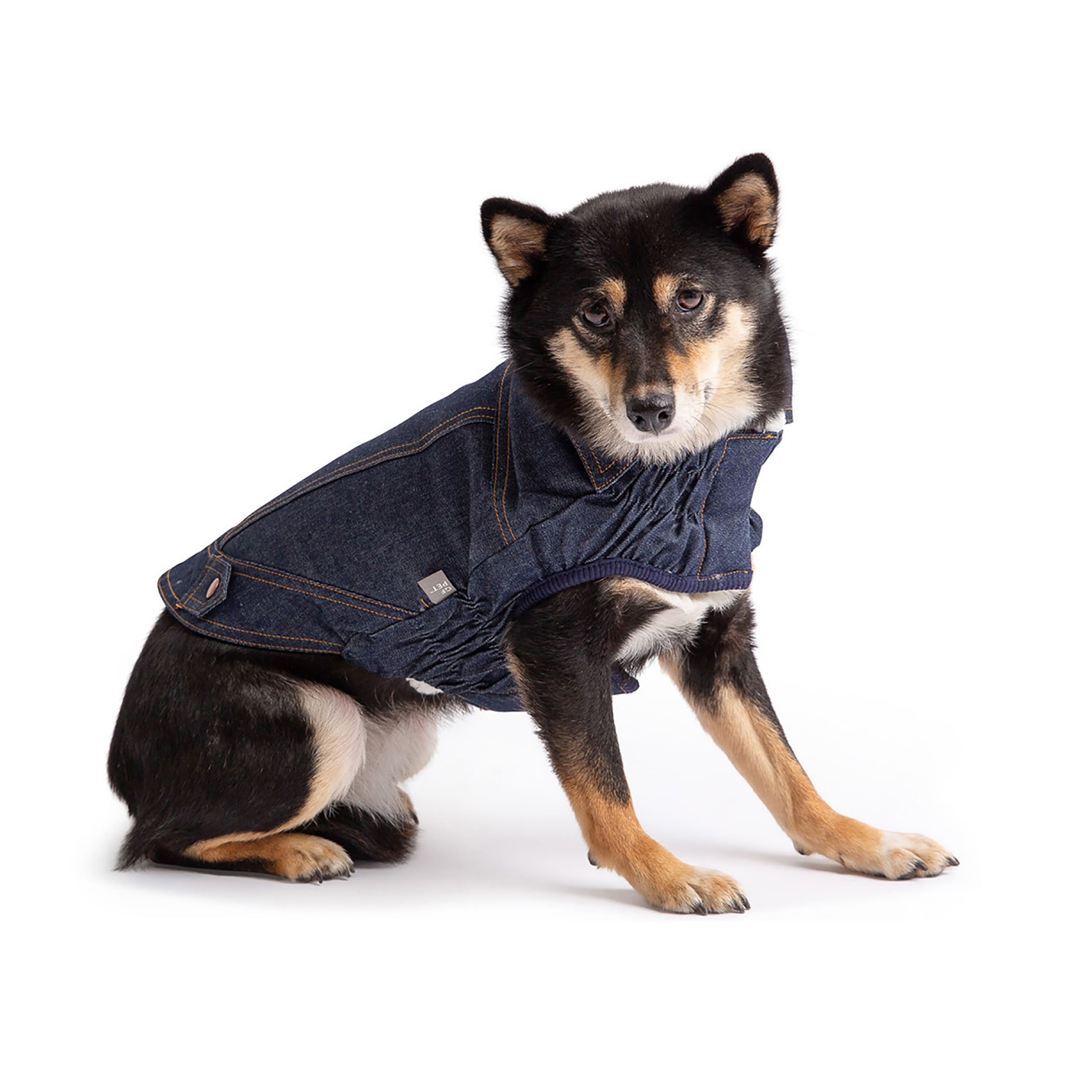 Paw Inspire