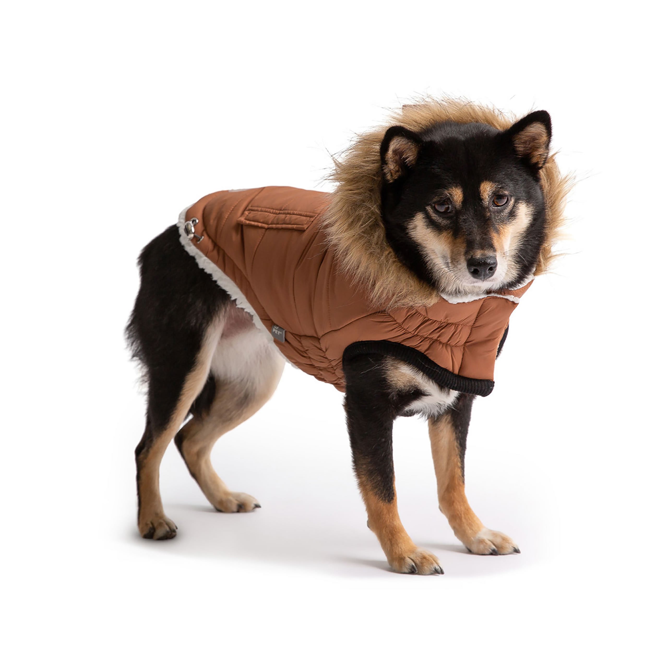 Paw Inspire