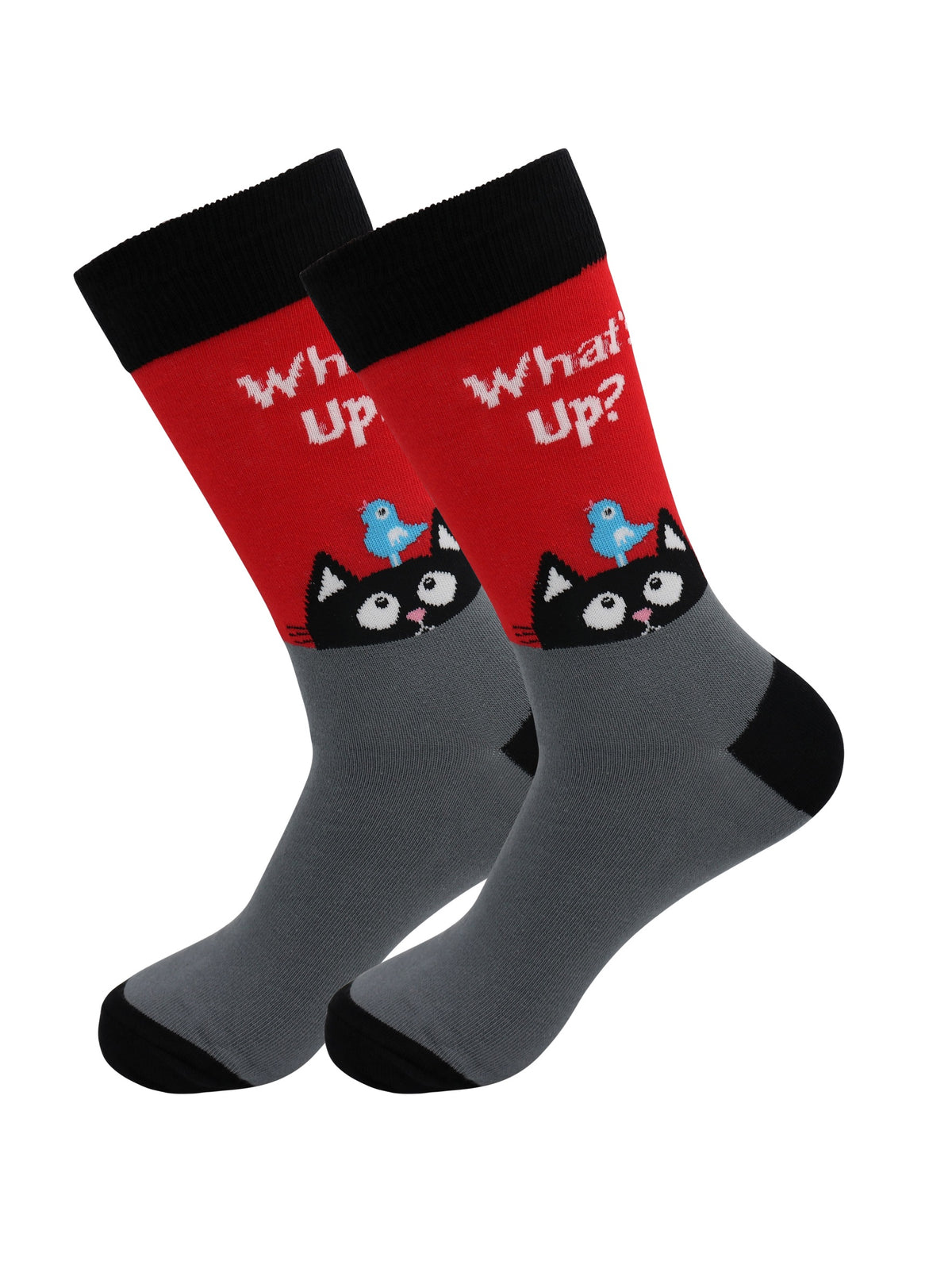 Cat (What’s Up)  Socks