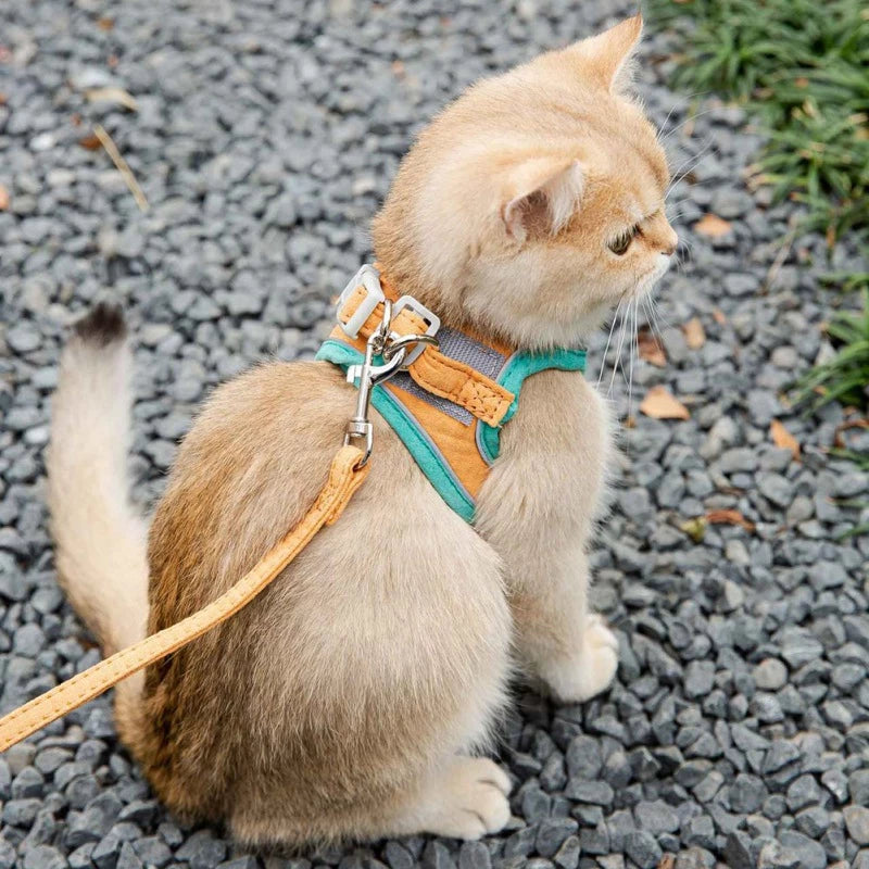 Paw Inspire
