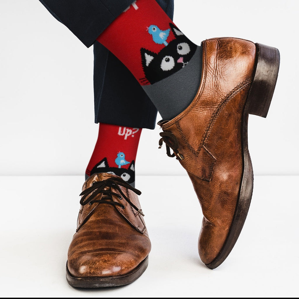 Cat (What’s Up)  Socks