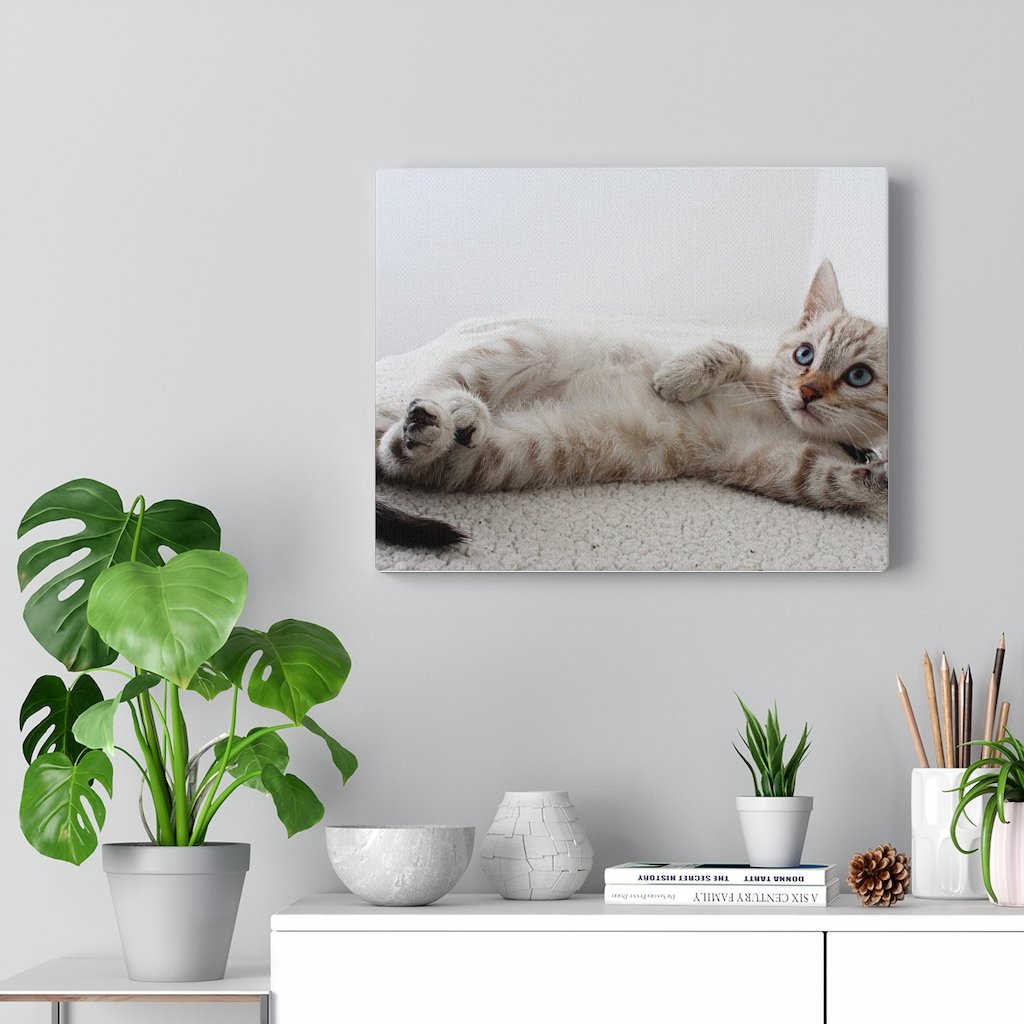 Cat Canvas Wall Art