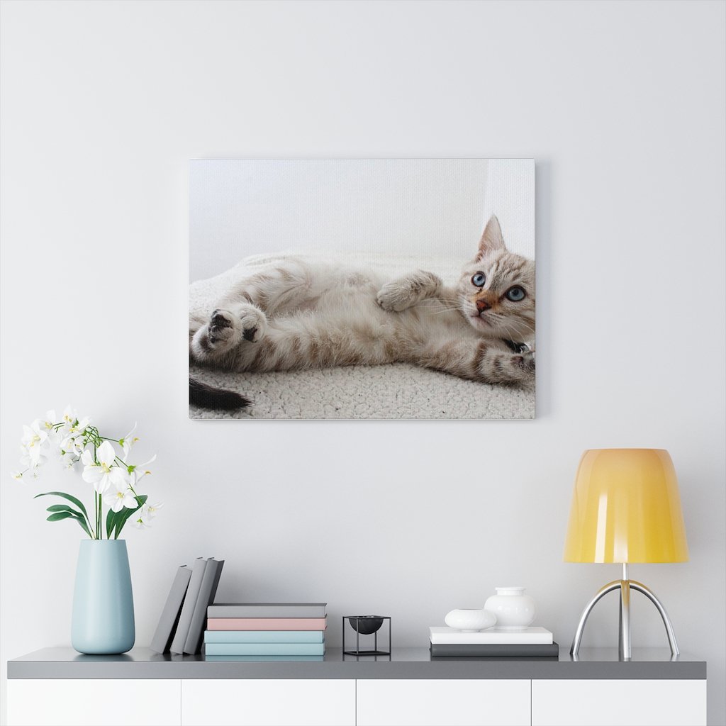 Cat Canvas Wall Art