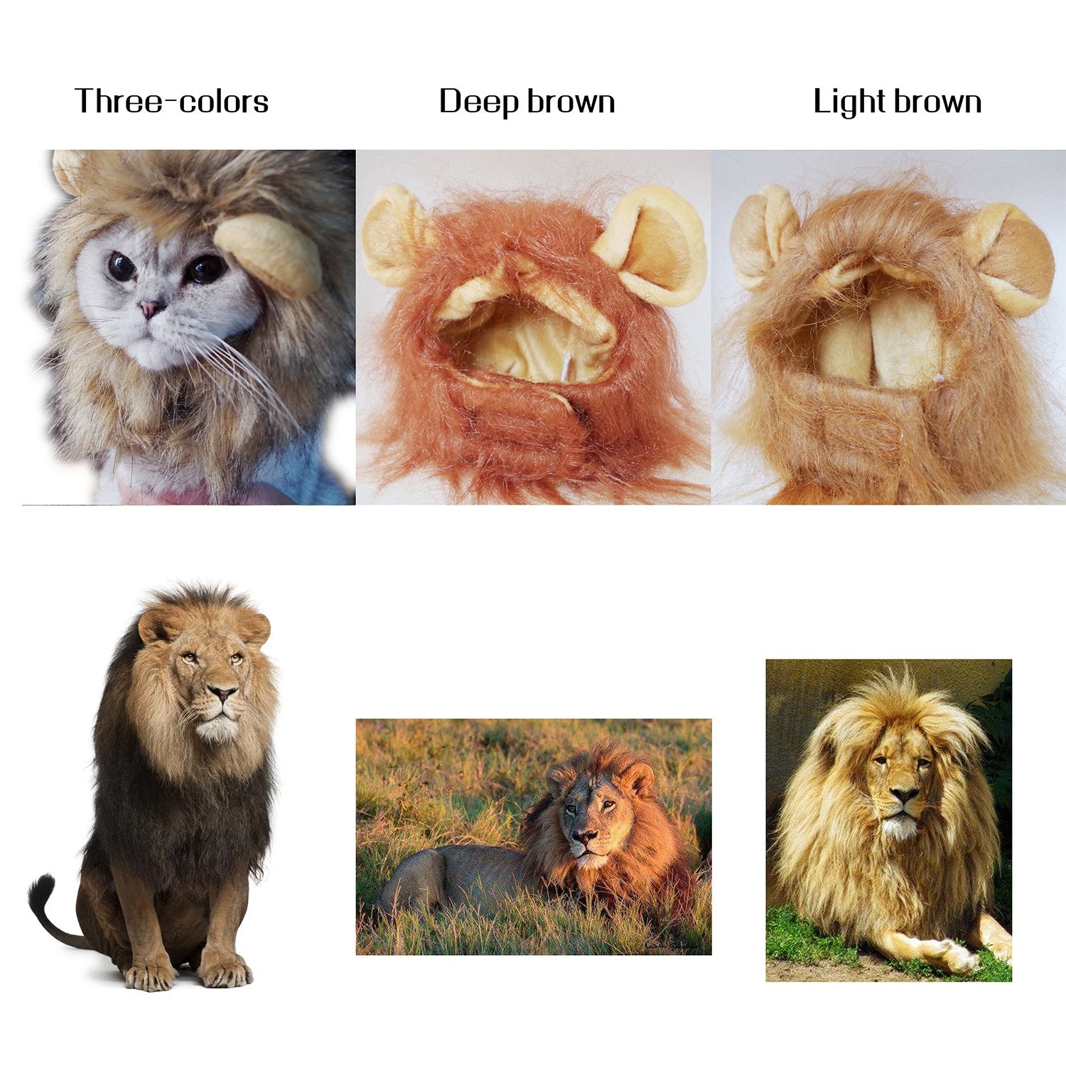 Paw Inspire