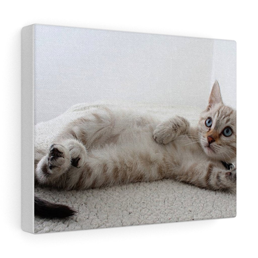Cat Canvas Wall Art