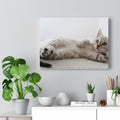 Cat Canvas Wall Art