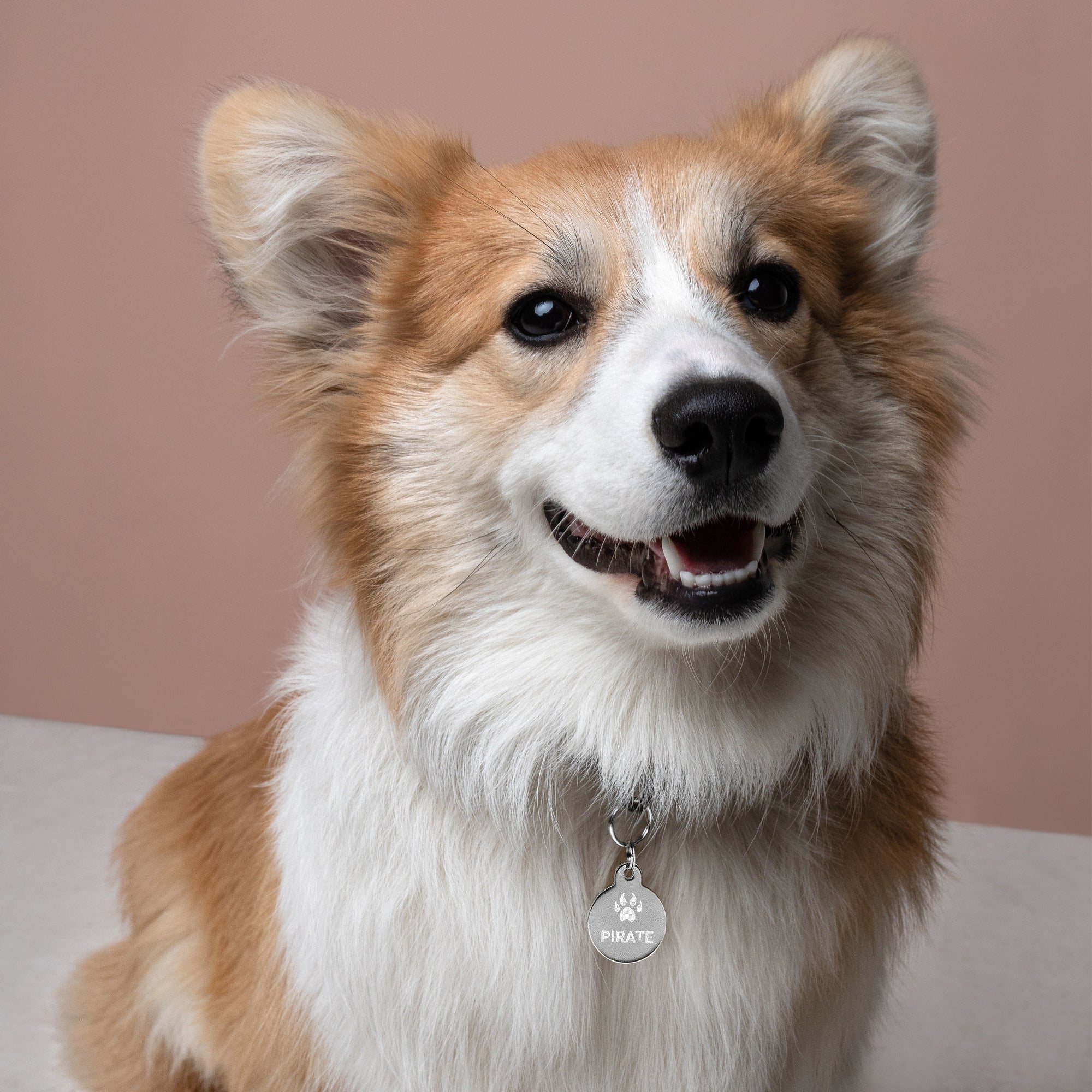 Paw Inspire