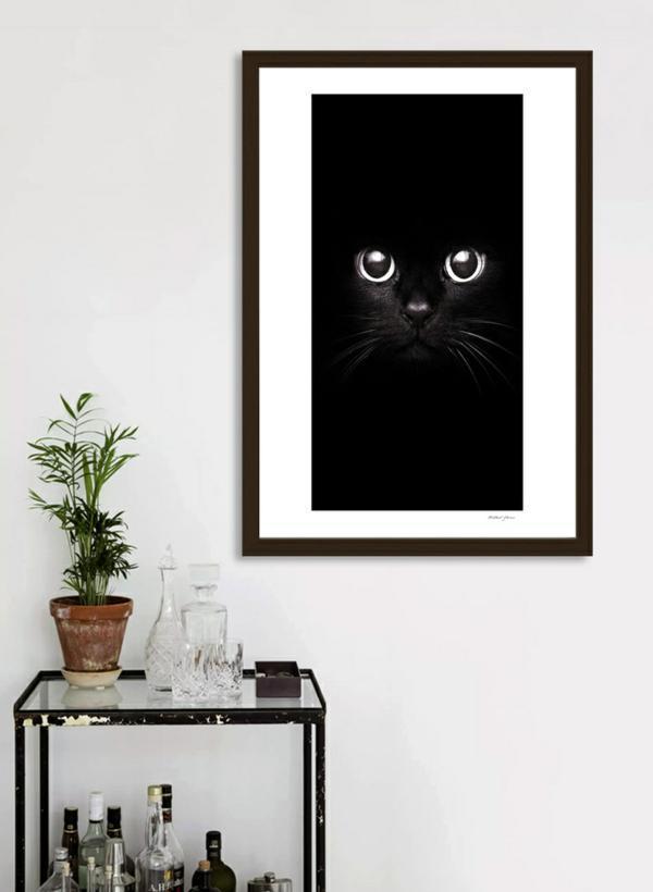 Paw Inspire