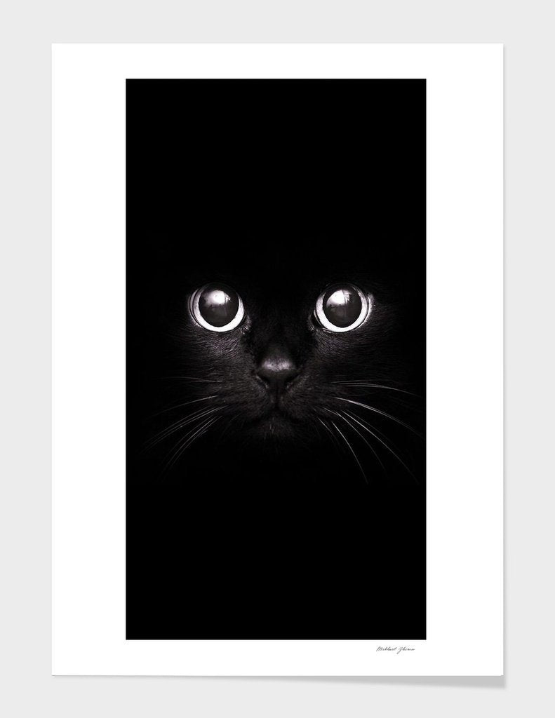 Paw Inspire
