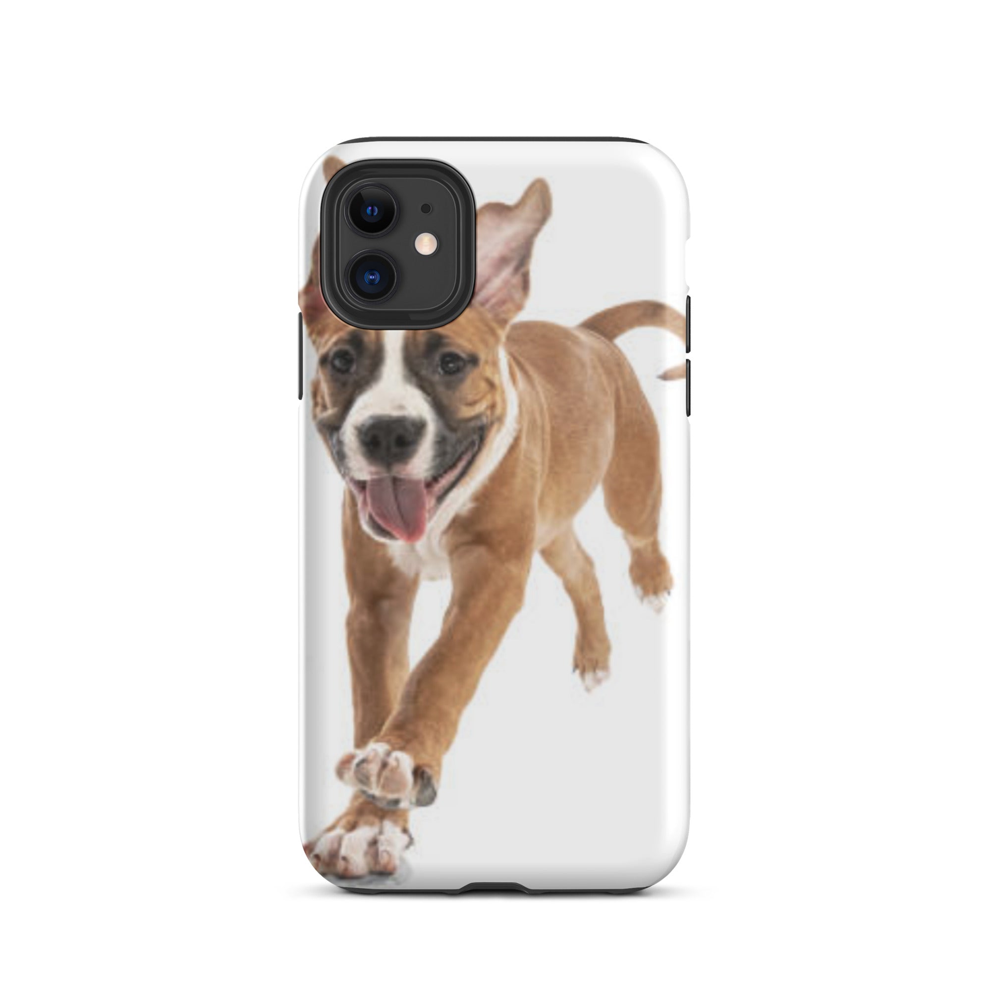 Paw Inspire